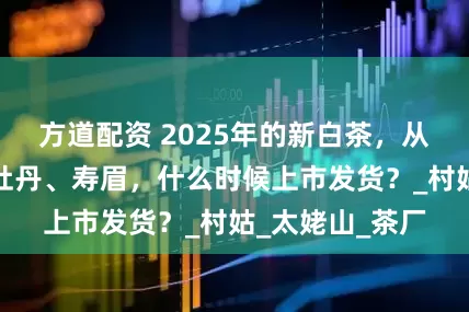 方道配资 2025年的新白茶，从白毫银针、白牡丹、寿眉，什么时候上市发货？_村姑_太姥山_茶厂